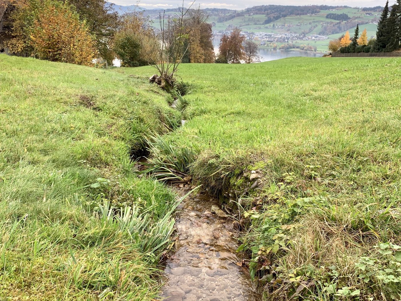 Kleingewässer von weniger als 1,5 m Breite m Kanton Schwyz. Für solche sind gemäss Merkblatt der Regierung keine Gewässerräume auszuscheiden.  (Bild js)