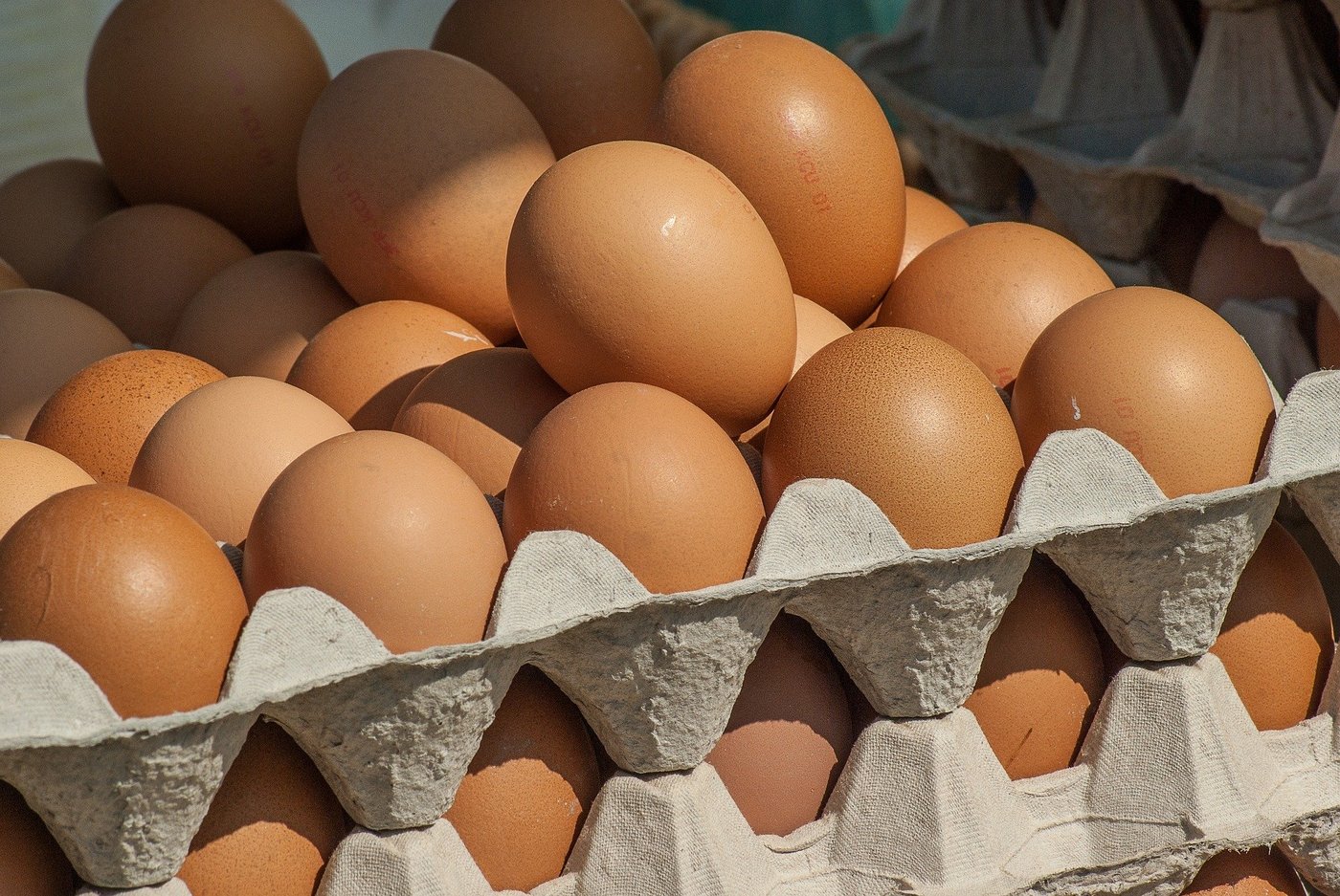 Was in keine Schachtel passt, kann nicht im Detailhandel verkauft werden und wandert in die Gastronomie oder Lebensmittelindustrie. (Bild Pixabay)