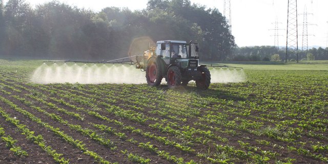 Trinkwasser- und Pestizid-Initiative: Diese Themen zogen sich wie ein roter Faden durch die Online-Information des St. Galler Bauernverbands. (Bild: Fachstelle Pflanzenschutz, Strickhof)gver