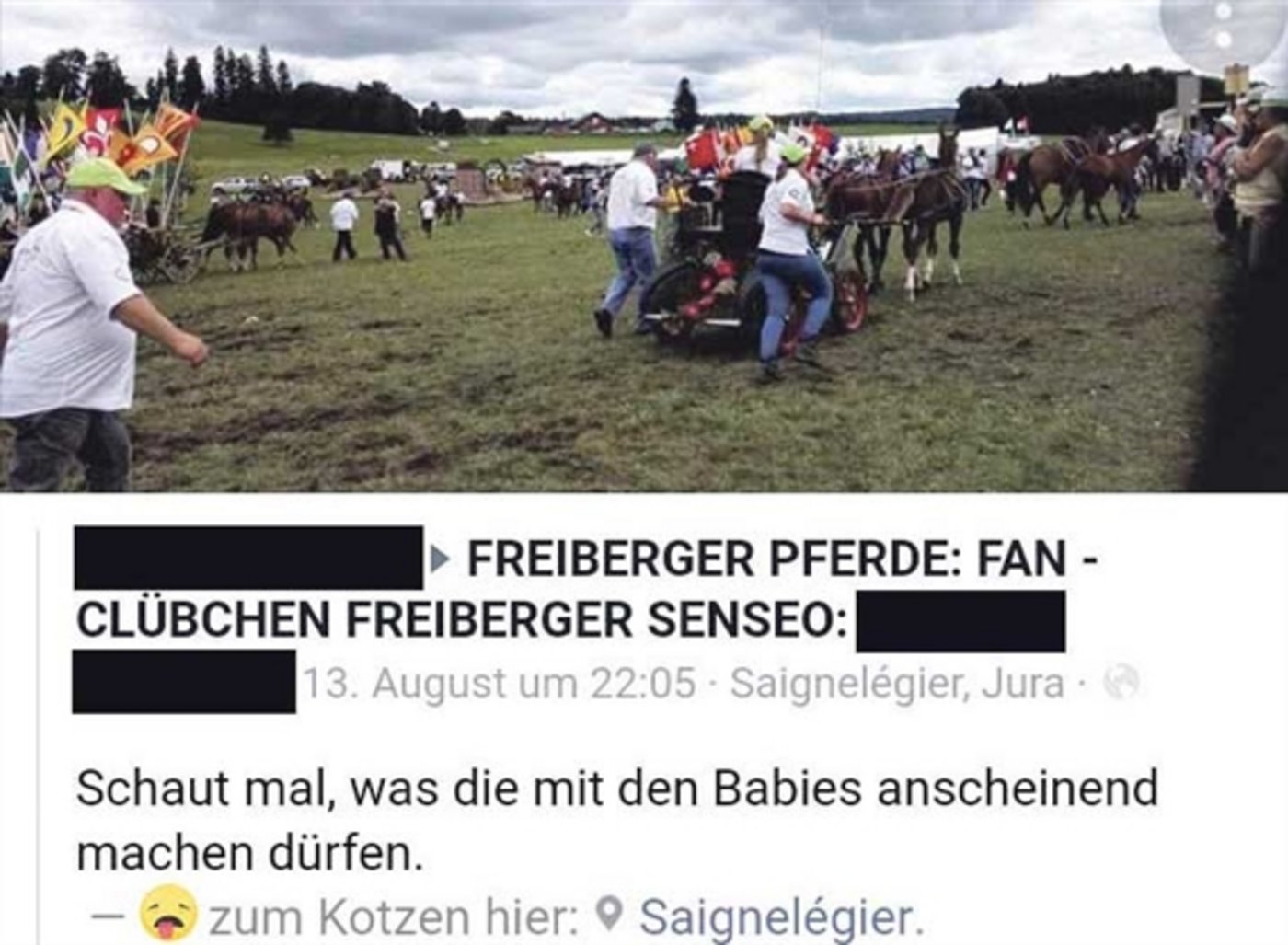 Die Gespanne lösten viel Empörung in den sozialen Medien aus. (Bild Screenshot)