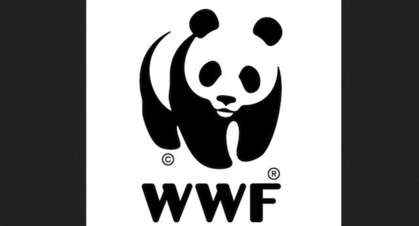 Der WWF zeigte sich schockiert und kündigte eine unabhängige Untersuchung an."Wir nehmen jegliche Vorwürfe sehr ernst", teilte der WWF mit. (Bild WWF)