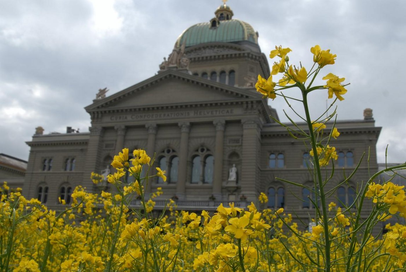 Der Verfassungsartikel zu Ernährungssicherheit wird im Bundeshaus gross diskutiert. (Bild die grüne)