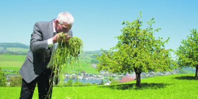 Gehören zusammen: Walter Münger und frisch geschnittenes Gras, das bald Heu werden wird. (Bild hja)