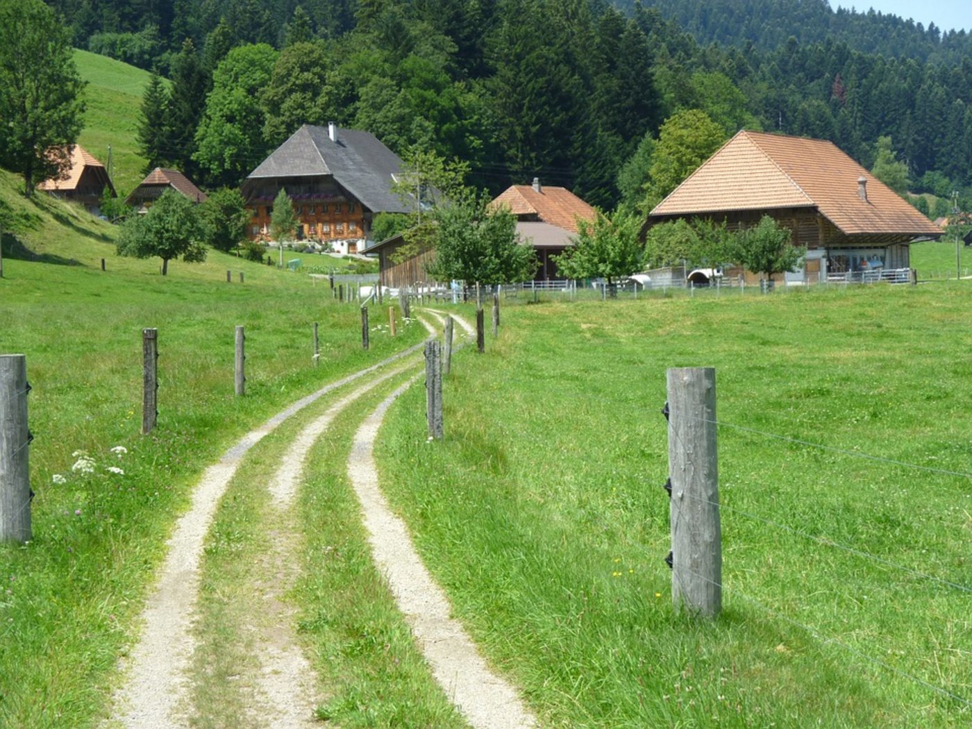Zusätzlicher Druck auf die Schweizer Bauernbetriebe sei überhaupt nicht gefragt, hält der Schweizer Bauernverband auf die heute veröffentlichte Gesamtschau des Bundesrats fest. (Bild Pixabay)