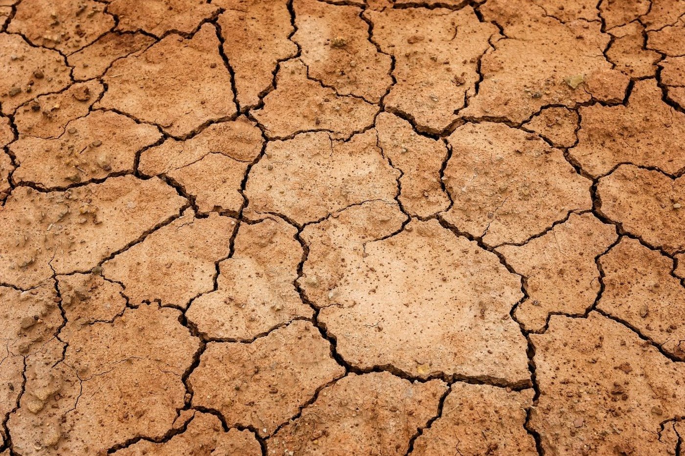 Wassermangel wird uns in Zukunft vor grosse Herausforderungen stellen. (Symbolbild Pixabay)