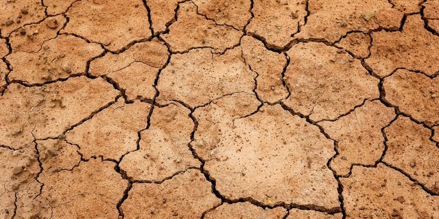 Wassermangel wird uns in Zukunft vor grosse Herausforderungen stellen. (Symbolbild Pixabay)