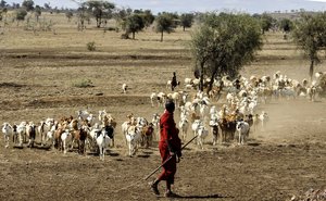 Bäuerinnen und Bauern produzieren in Afrika Lebensmittel, sind aber paradoxerweise besonders von Nahrungsmangel betroffen. (Bild pd)
