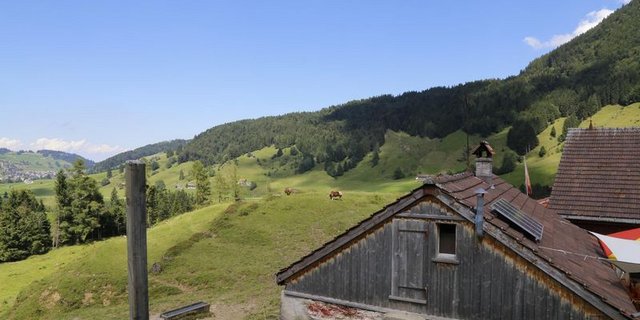 Auf den Schweizer Alpen wird dringend Personal benötigt. (Bild lid)