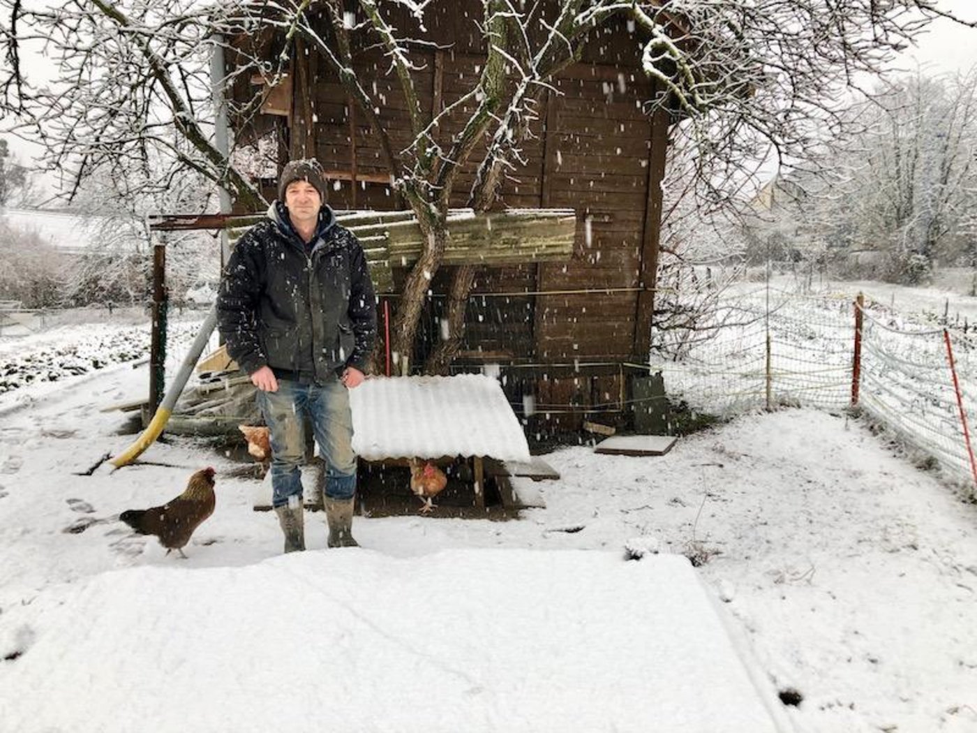 Weil es Mitte Januar stark schneit, kann Ueli Ansorge sein Gemüse, das er in einer Erdgrube lagert, nicht kontrollieren.  Das Lagersystem sei einfach zu handhaben und verlässlich. (Bild Esther Thalmann)