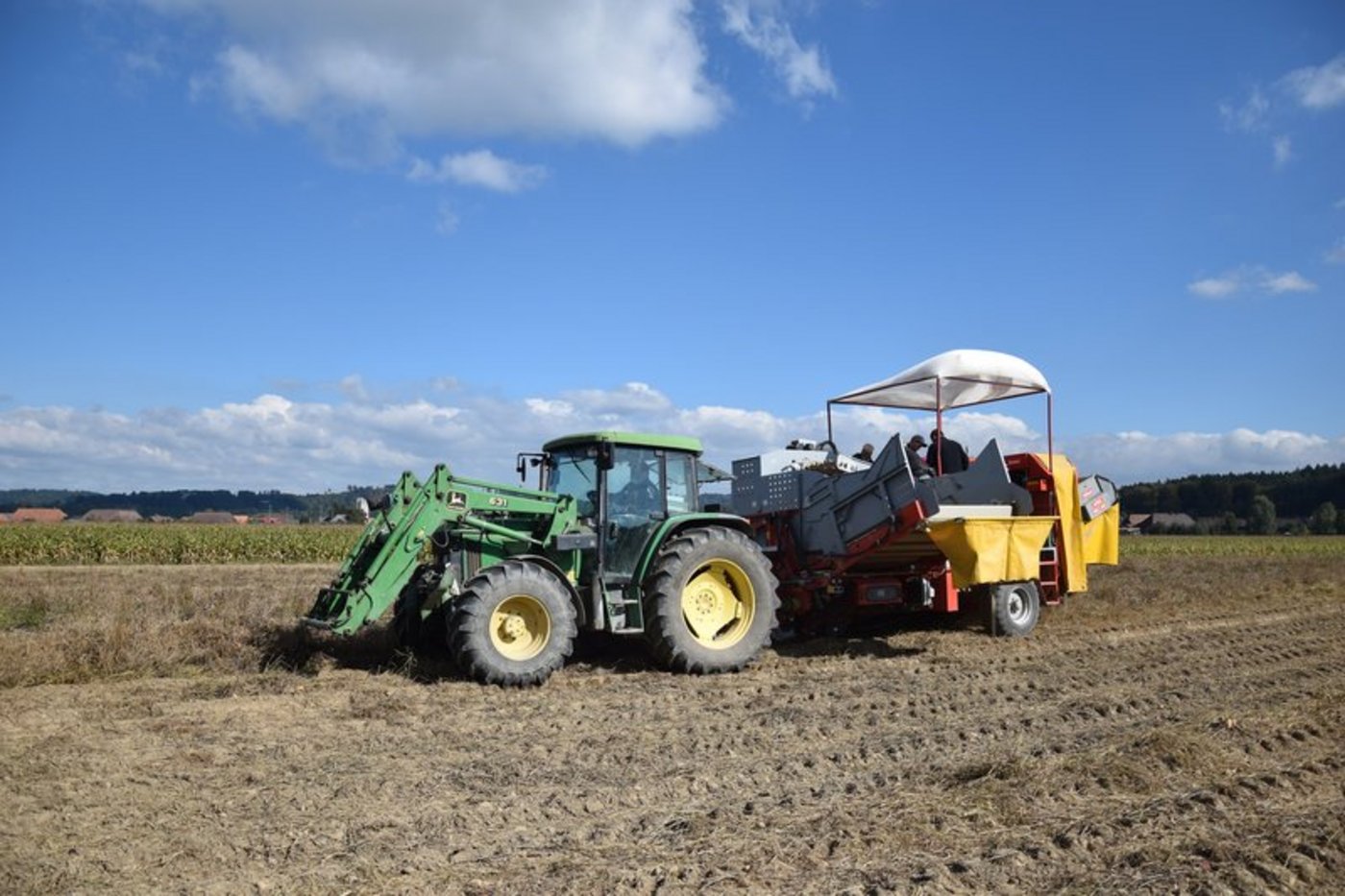 Während bei Getreide, Obst und Gemüse in Deutschland dieses Jahr die Erträge eher klein ausfallen, sind sie bei den Kartoffeln überdurchschnittlich. (Symbolbild BauZ)