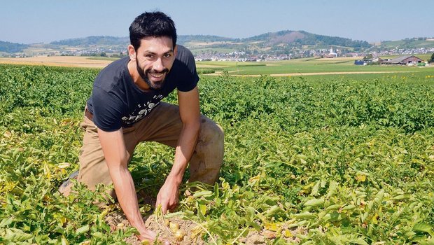«Die Kartoffeln sehen gut aus. Es gibt höchstwahrscheinlich eine gute Ernte», sagt David Wanner. Den Betriebszweig Kartoffeln baute er schon vor der Hofübergabe auf.  
