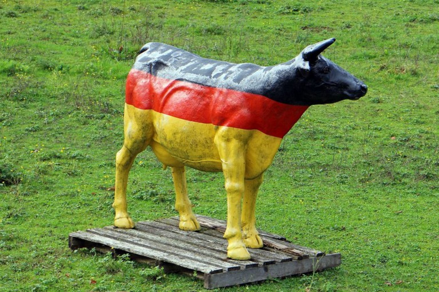 Derzeit erhalten die Milchbauern einen Milchpreis von ca. 33 Ct/kg, vor einem Jahr lag dieser Wert noch bei 23 Ct/kg. (Bild pd)