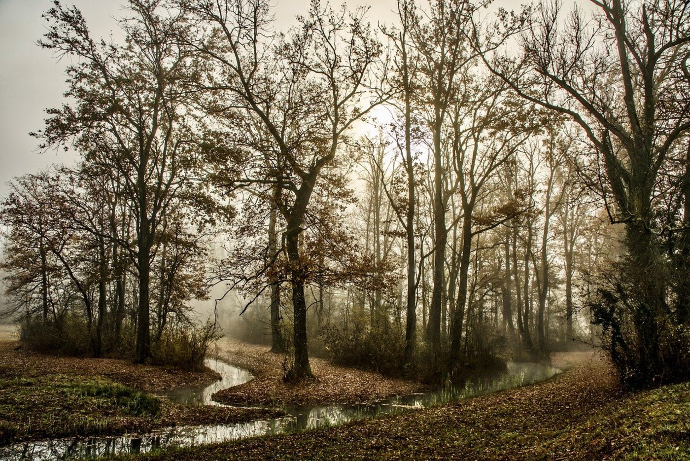Die Temperaturen im November lagen 0,1 Grad über dem letzten Spitzenwert im Jahr 2016. (Bild Pixabay)