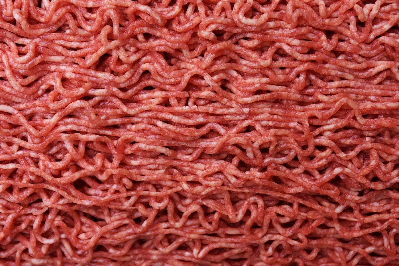 Rinds-Hackfleisch hat einen Bio-Anteil von 15 Prozent. (Bild Pixabay)