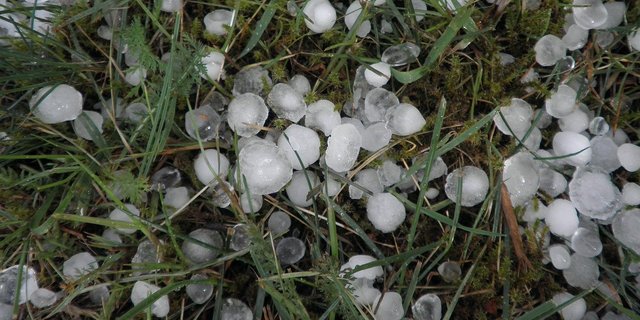In Bern und Luzern wurden Hagelkörner mit bis zu 5cm Durchmesser gemeldet. (Symbolbild Pixaby)