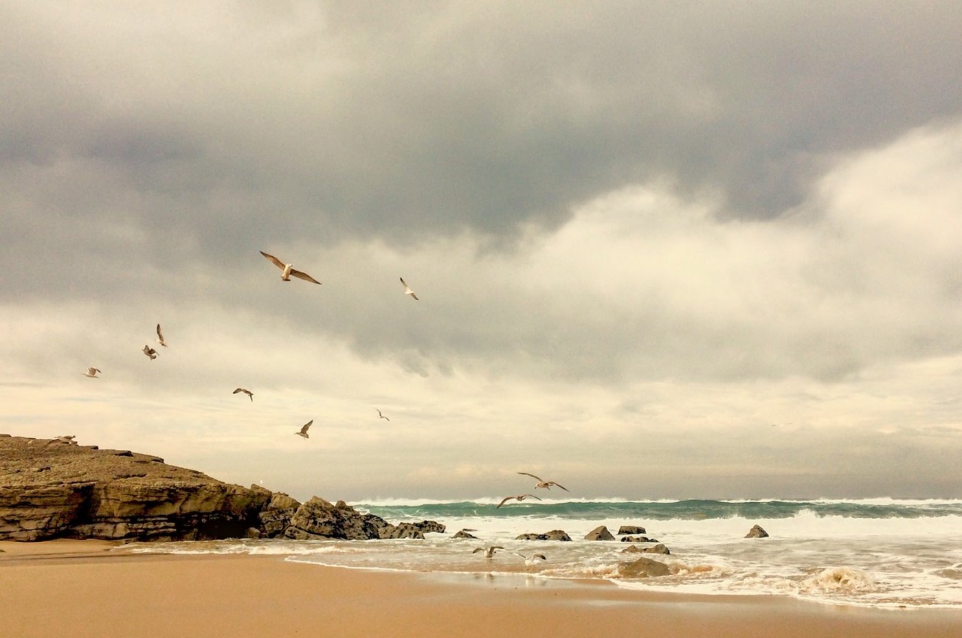 Nach heftigen Regenfällen wurde im australischen Bundesstaat New South Wales eine Kuh an einen Strand gespült. (Symbolbild Pixabay)