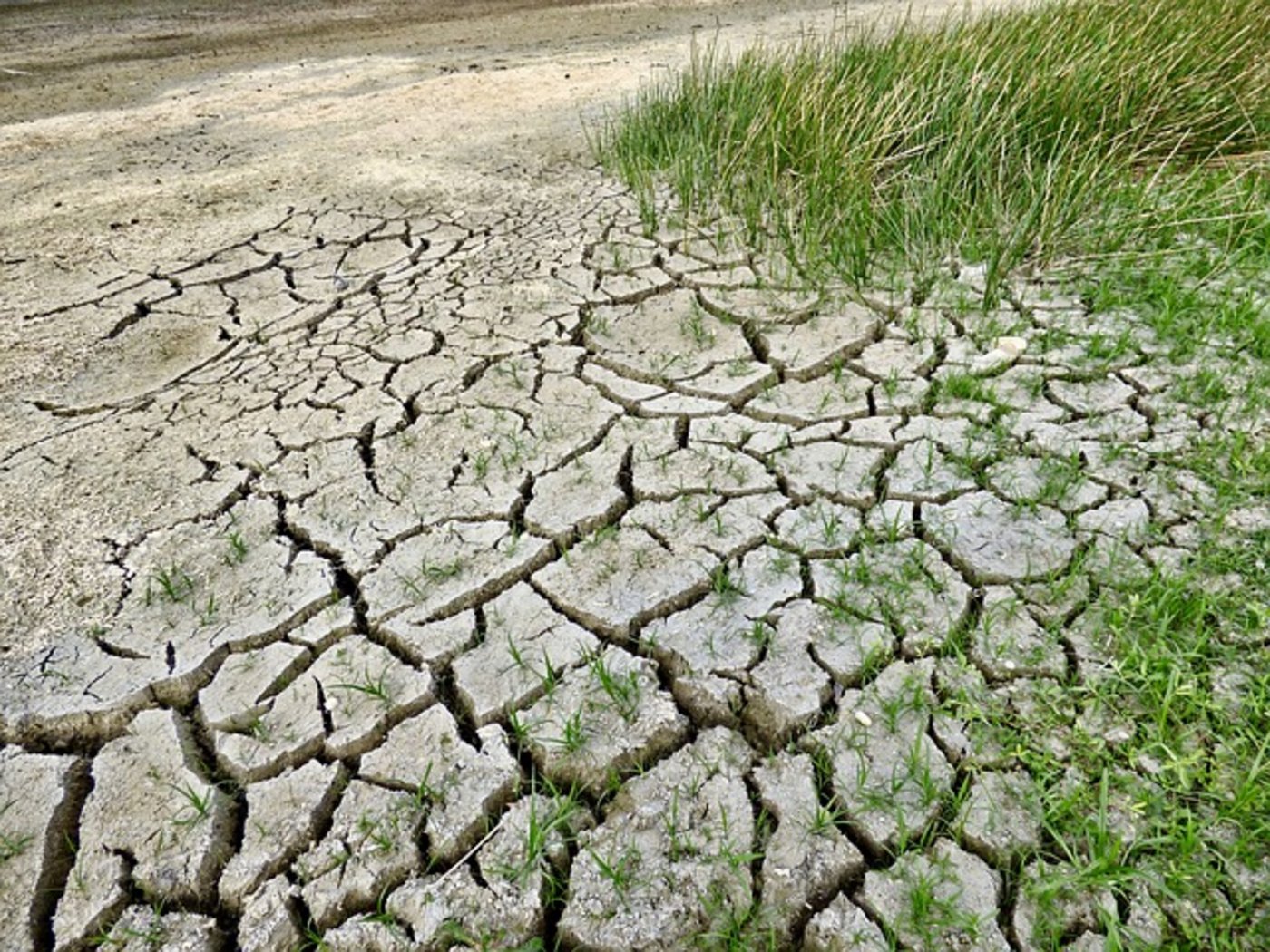 Im Kantonsparlament hat man in der Märzsession keine Zeit für den Klimawandel. (Bild Pixabay)