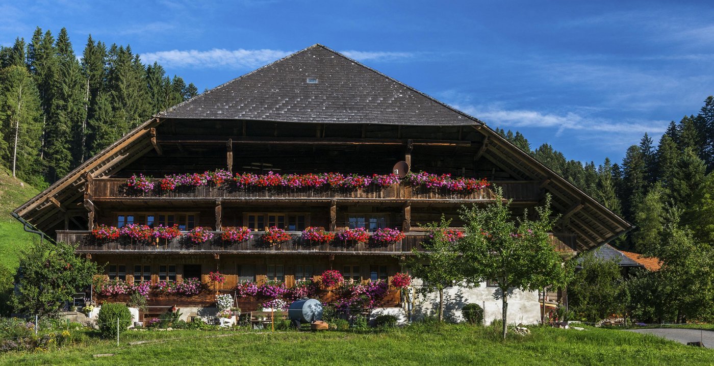 Die ländliche Umgebung und der Familienanschluss sind Stärken des Angebots. (Symbolbild Martin Mägli/landwirtschaft)