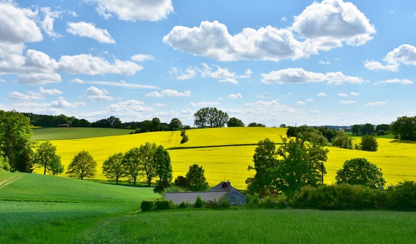 Klimaschutz müsse wirksam und nachhaltig sein, so die Landesregierung in Bayern. (Symbolbild Pixabay)