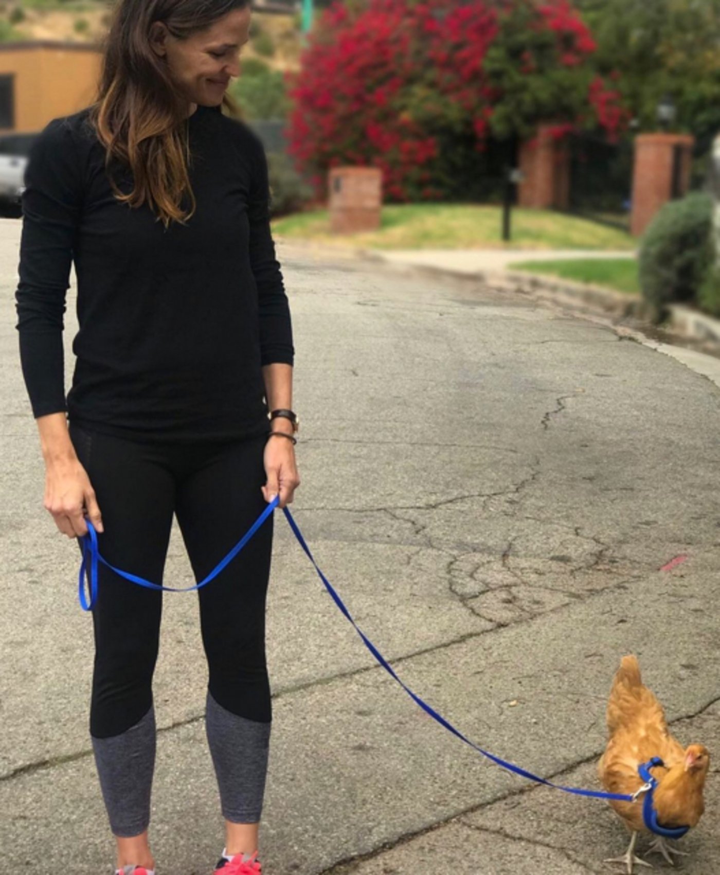 Jennifer Garner mit Huhn Regina George zu dessen Lebzeiten. (Bild instagram.com/jennifer.garner)