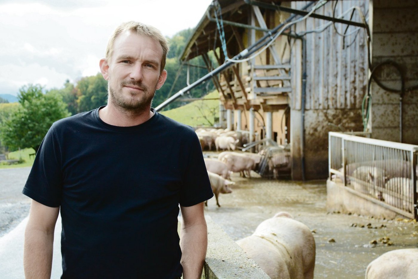 Urs Haslebacher hält in einem Ring 850 Moren und produziert  6500 Jager und 2000 Mastschweine/Jahr, neu für IP-Suisse.(Bild sb)