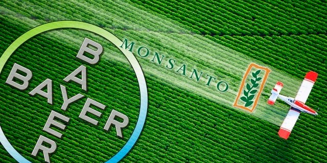 Die Bayer AG hat 2018 für 63 Mrd Euro die US-amerikanische Monsanto übernommen.