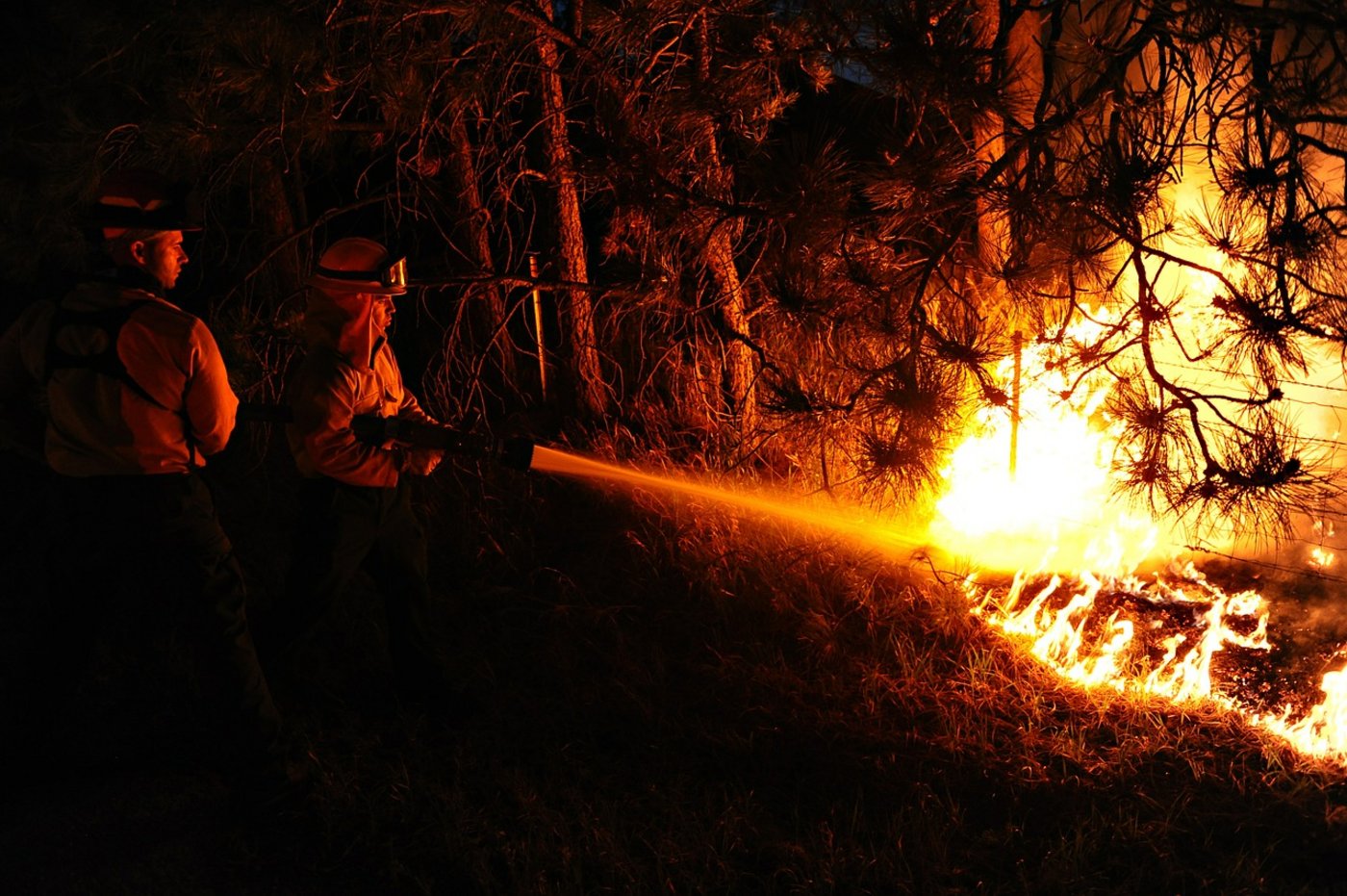 Wegen der trockenen Böden breiten sich allfällige Waldbrände schnell aus. (Symbolbild Pixabay)