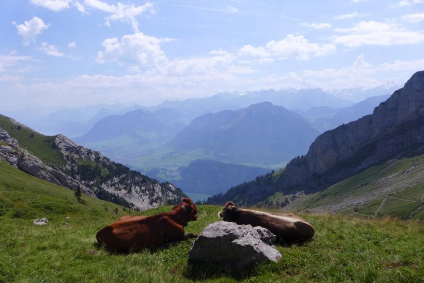 Alp Schwandi/Laub. (Bild Lea Kluge)