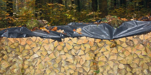 Die Zusammenarbeit mit Holzvermarktungsorganisationen bringt Vorteile. Der Marktzugang wird auch für kleine Waldbesitzer erleichtert und die Position am Markt gestärkt.   