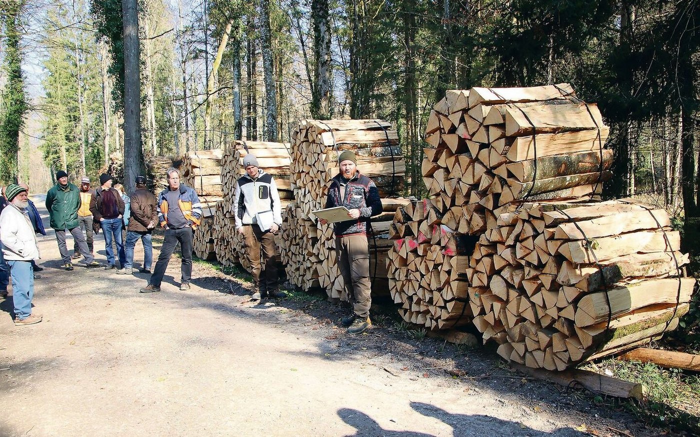 An der diesjährigen Brennholzgant in Kleinandelfingen hat Revierförster Oliver Bieri (ganz rechts) 41  von insgesamt 42 Losen versteigert.