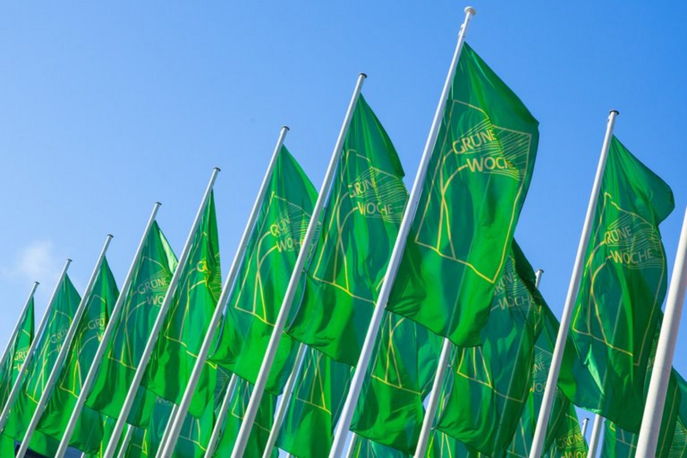 Seit 1926 international einzigartig  Die Internationale Grüne Woche (IGW) findet im Januar 2018 nun schon zum 83. Mal statt. (Bild zVg)
