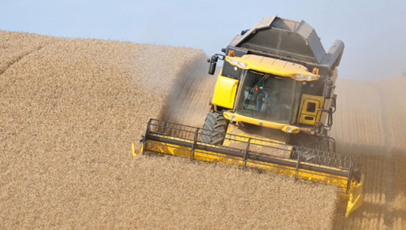 Die Landwirtschaft gerät von Avenir Suisse unter Beschuss. (Symbolbild Cédric Péclard)