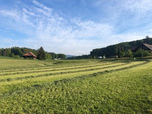 Futterbau im Frühling Wer im Futterbau hohe Erträge erzielen will, sollte die Bodenfruchtbarkeit nicht ausser Acht lassen. (Bild Jasmine Baumann)