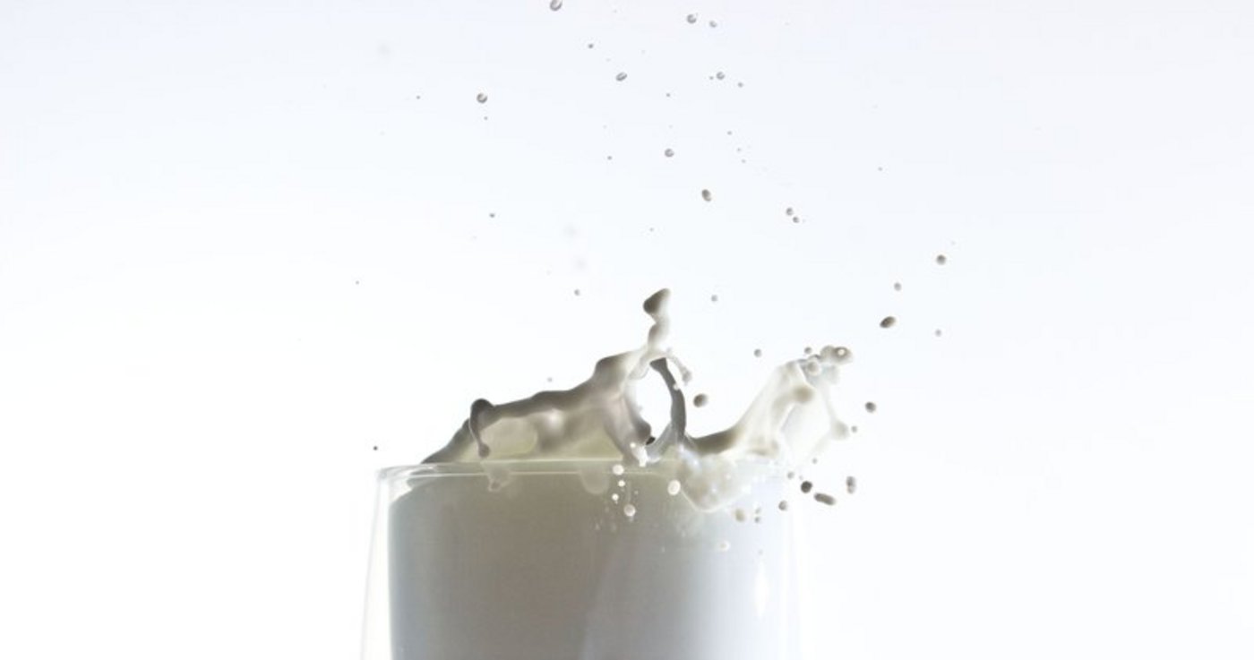 Die Milchproduktion in der EU ist im November 2018 erneut zurückgegangen. Trotzdem liegt die kumulierte Milchproduktion (Januar bis November 2018) über Vorjahr. (Bild zVg)