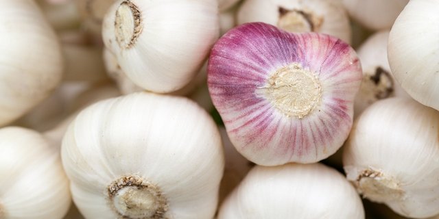 Knoblauch passt in der Küche zu vielen Gerichten von Bratkartoffeln über Teigwaren bis hin zu Fisch oder Shrimps. (Bild Pixabay/CC0)