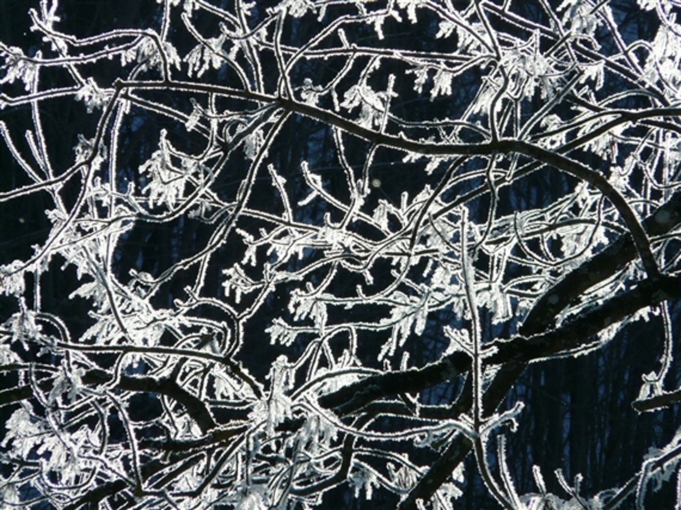 Schnee, Frost und Blechschäden; "Egon" hinterlässt seine Spuren in der Schweiz. (Symbolbild Pixabay)