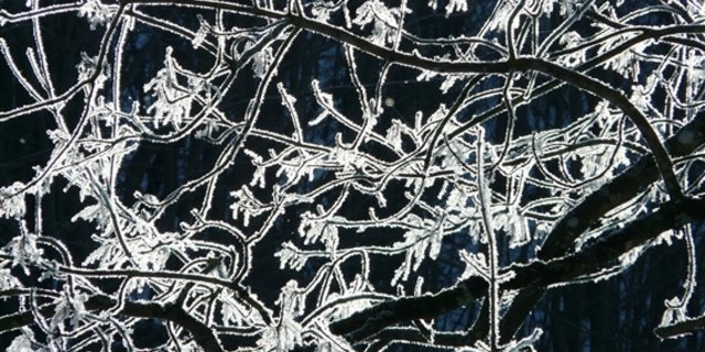 Schnee, Frost und Blechschäden; "Egon" hinterlässt seine Spuren in der Schweiz. (Symbolbild Pixabay)