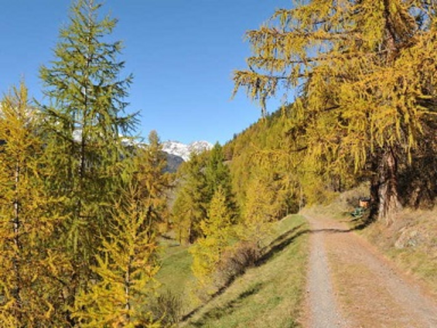 In vielen Orten in der Schweiz, stiegen heute die Temperaturen auf Rekordhöhe. (Bild srf)