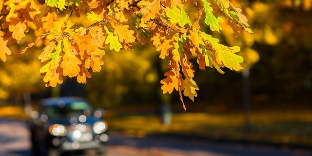 Der Schweizer Bauernverband kritisiert unter anderem den unnötigen Verkehr, der durch den Einkaufstourismus entstehe. (Bild Pixabay)