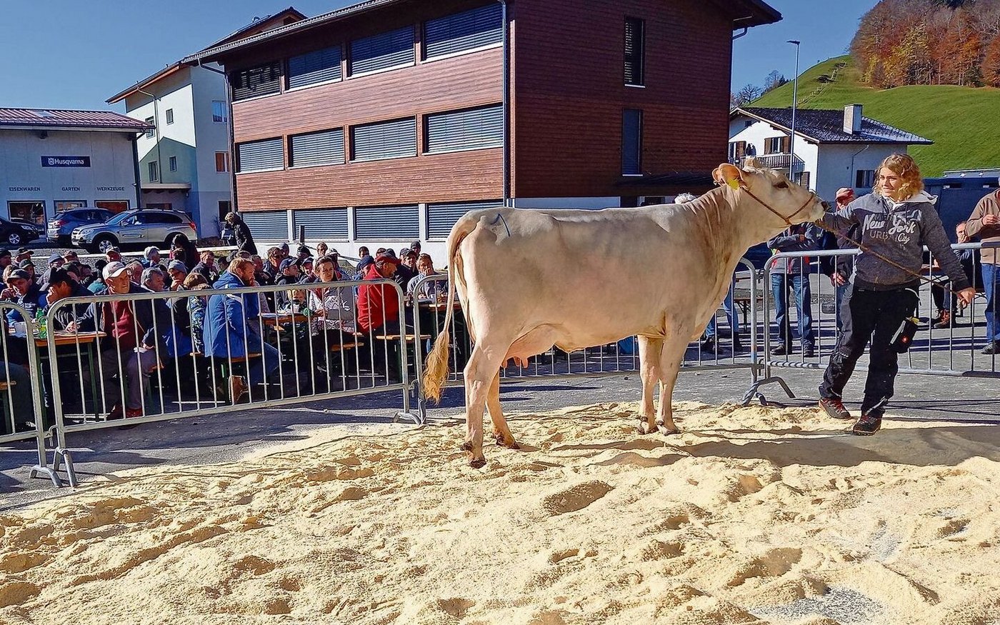 Weil die Auktion ohne Covid-Zertifikat durchgeführt wurde, fand die Versteigerung der Tiere im Freien statt.