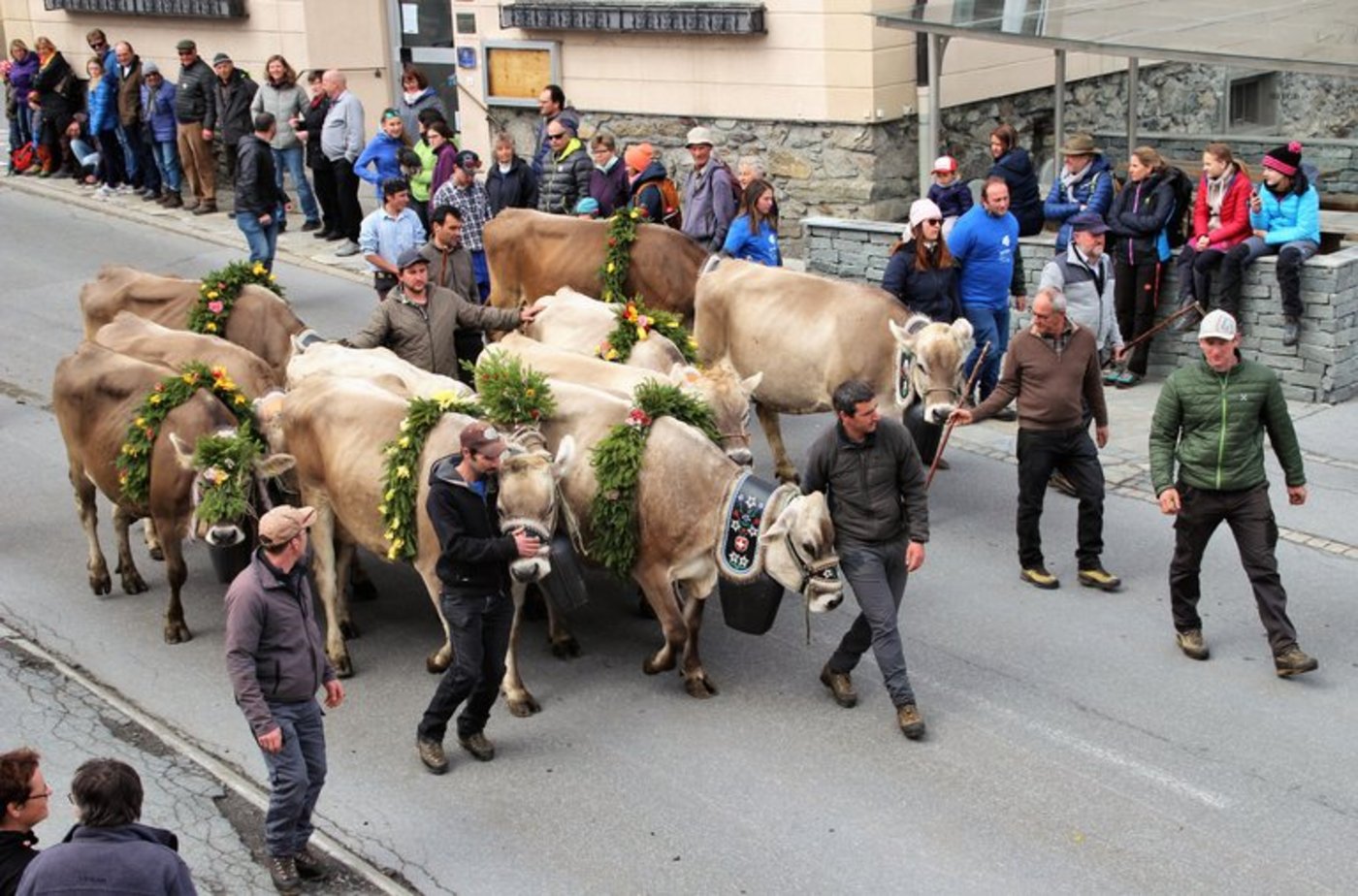 Die Landwirtschaft präsentiert sich am Umzug. (Bild Bündner Bauernverband)