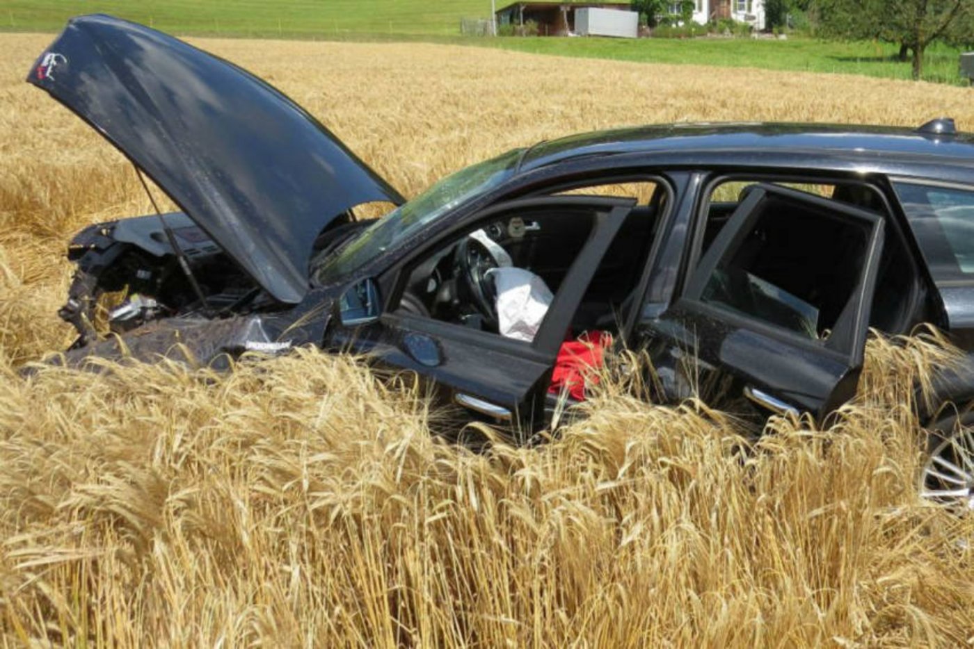 Das beschädigte Auto im Kornfeld. (Bild Kapo AG)