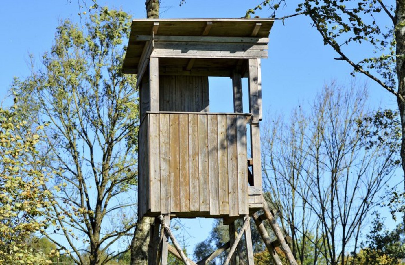 (Bild lid)