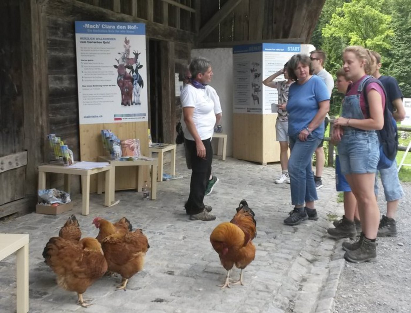 Schon das Start-Wochenende lockte zahlreiche Interessierte an. (lid)