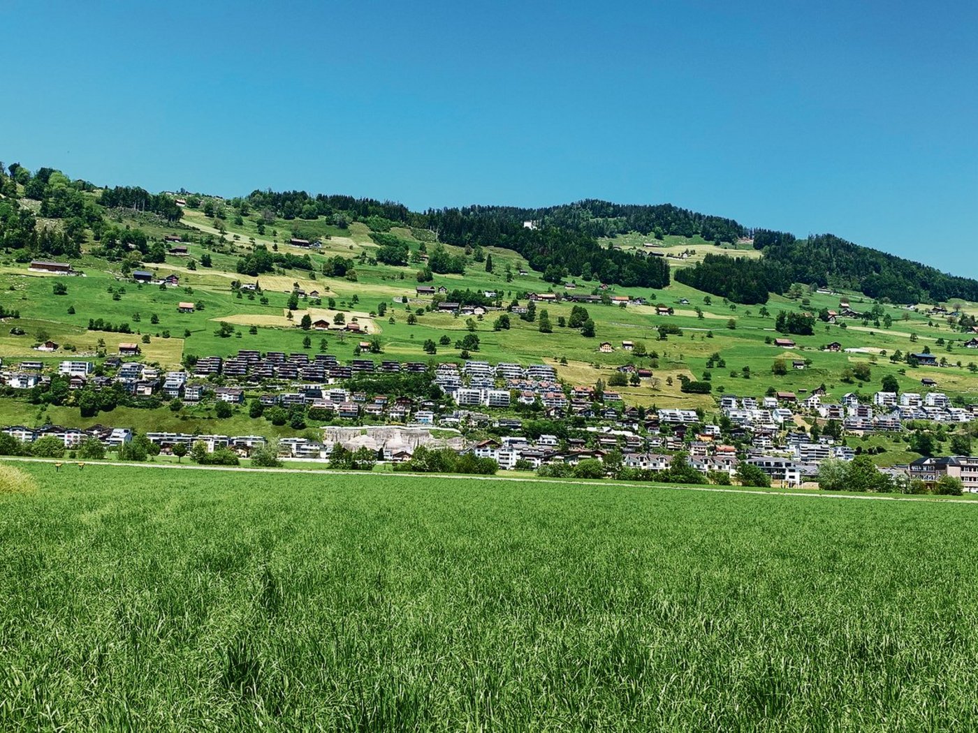 Blick an den unten dicht überbauten Bürgenberg bei Ennetbürgen. Wenn die Bauern oben in der Landwirtschaftszone ihre Scheunen erweitern oder neu bauen wollen, macht der Landschaftsschutzverband vermehrt Einsprachen.  (Bild Josef Scherer)