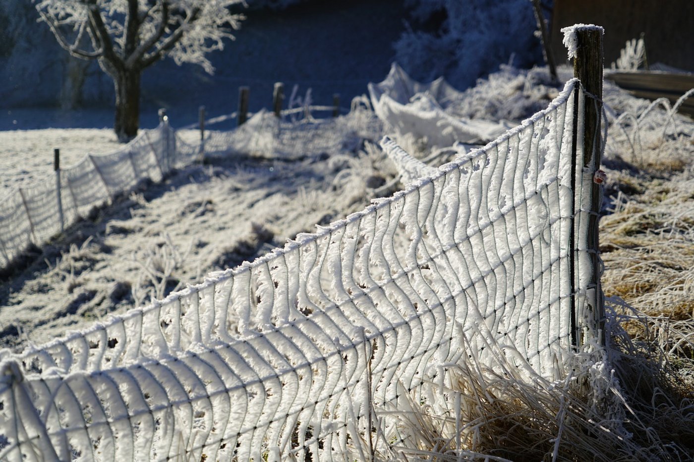 In Kanada herrschen Temperaturen bis zu -50°C. (Bild Pixabay)