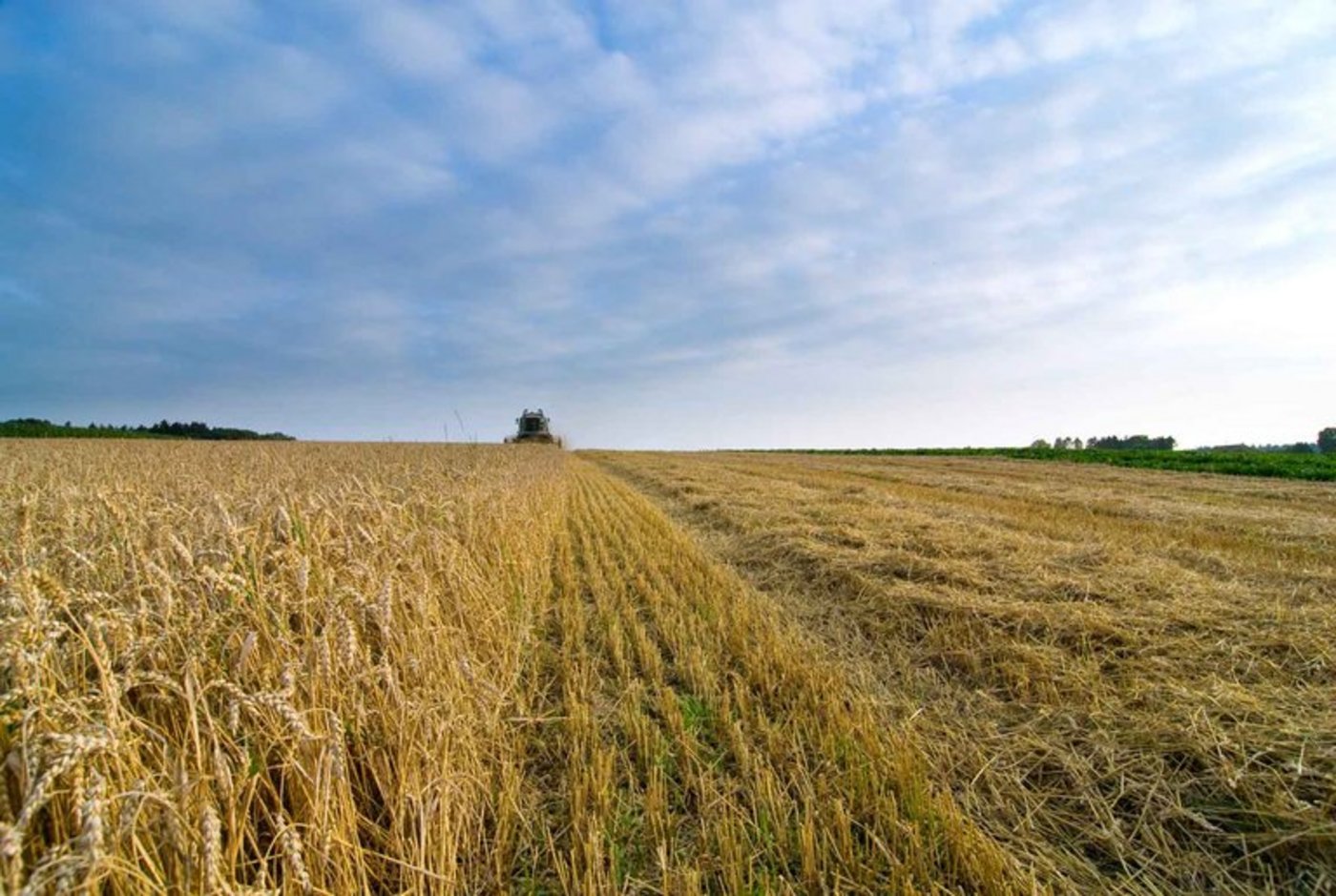 Die Trockenheit ist weiterhin erheblich. (Bild Stephan Traber/landwirtschaft.ch)