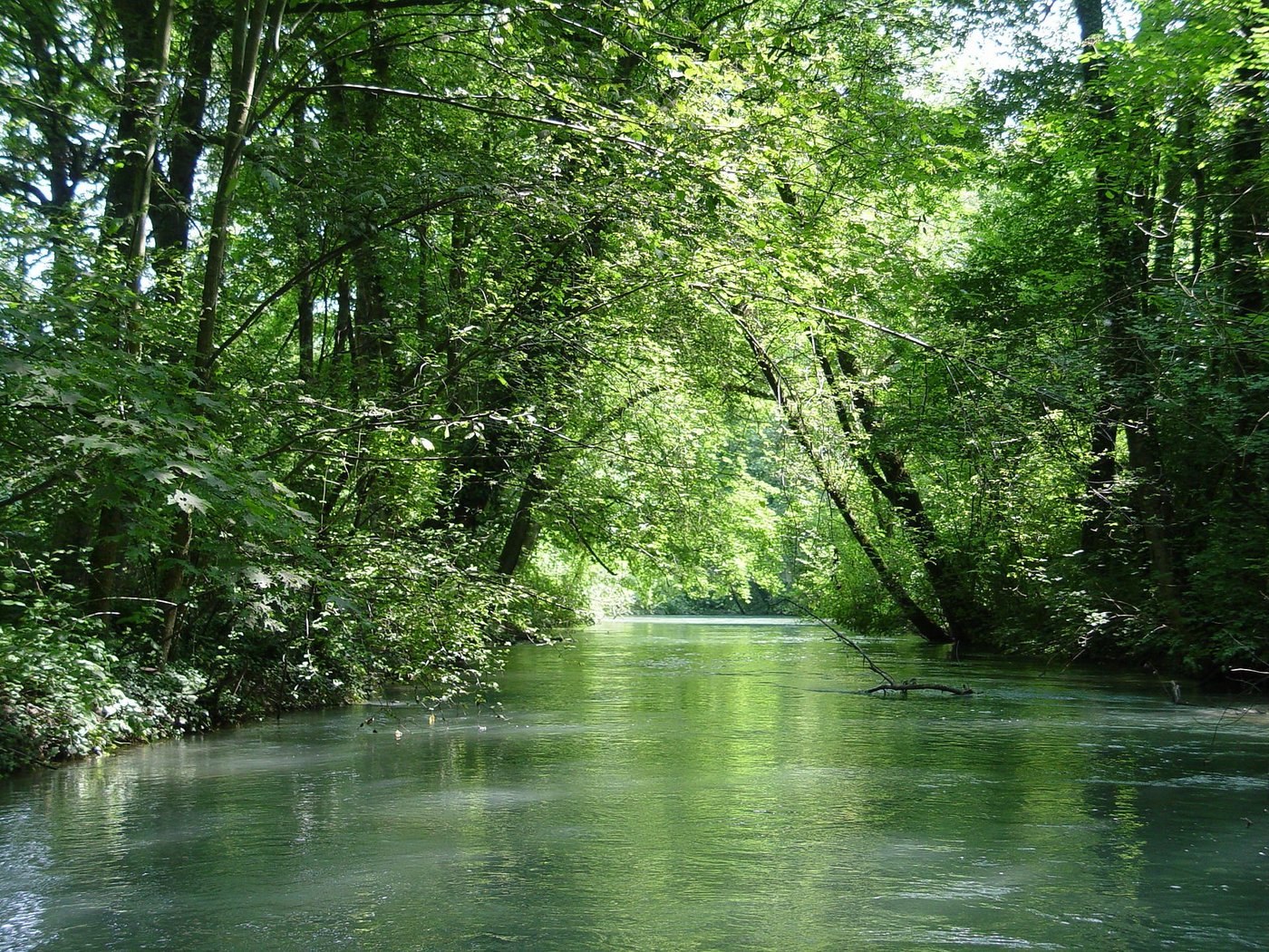 Die Alte Aare gehört zu den Objekten nationaler Bedeutung. Diese können Landschaften oder Naturdenkmäler sein. (Bild Yesuitus2001)