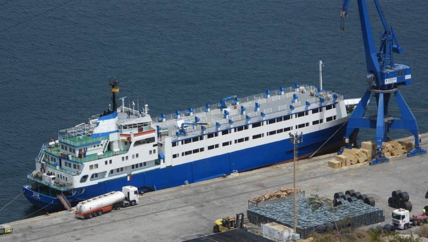 Die Animal Welfare Foundation arbeitet daran, die Rinder vom Frachtschiff Elbeik zu befreien. Über 1000 Rinder waren Ende letzten Jahres an Bord des Frachters genommen worden. (Bild Animal Welfare Foundation)