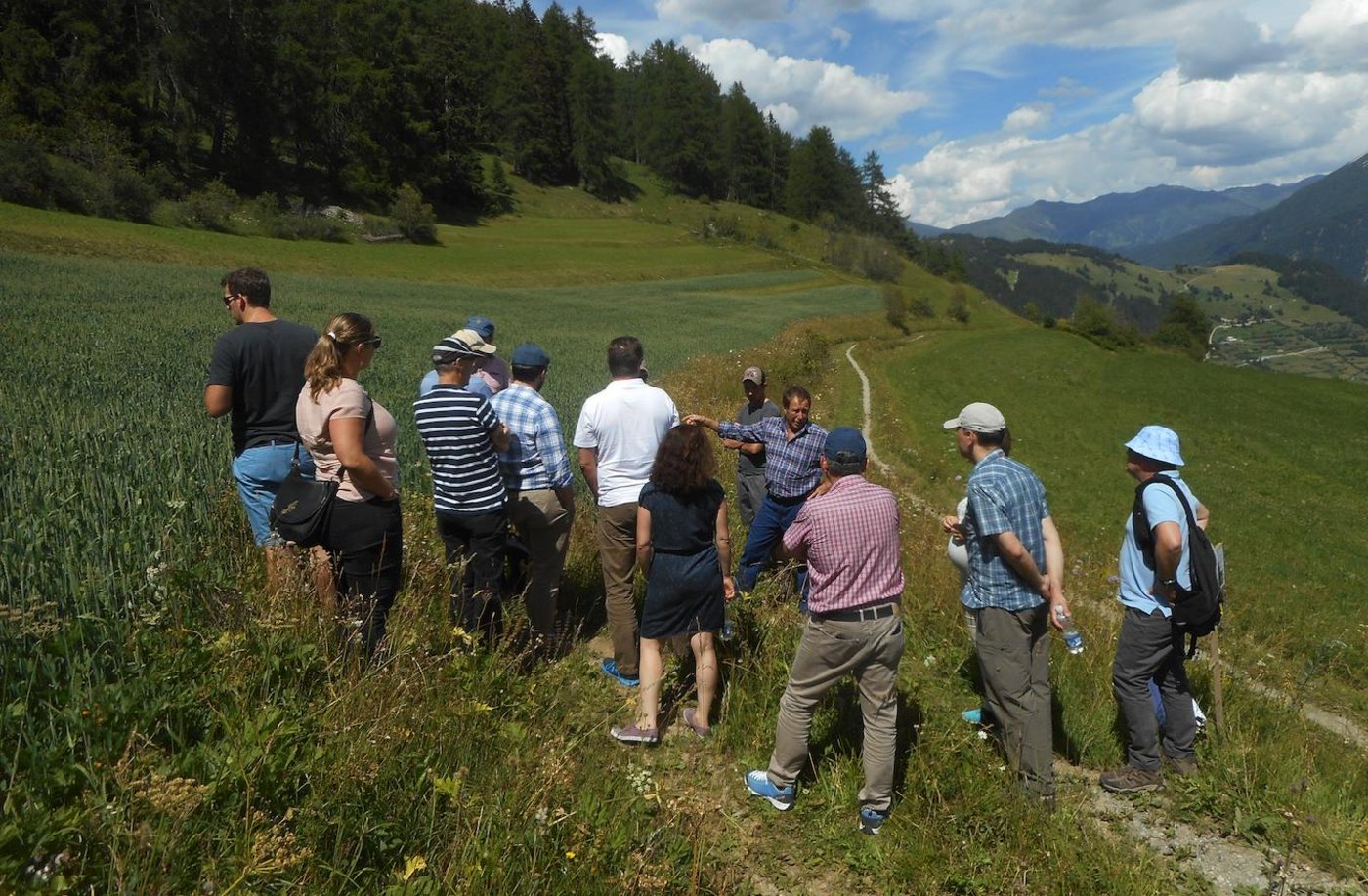 Die Landwirte Men und Reto Luppi präsentieren den Weizenacker mit "Sur En" im Gebiet Plattas, oberhalb Sent, 1550 m über Meer. (Bilder zVg)